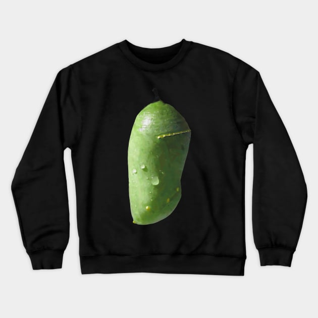 Monarch Chrysalis Crewneck Sweatshirt by Griffelkinn